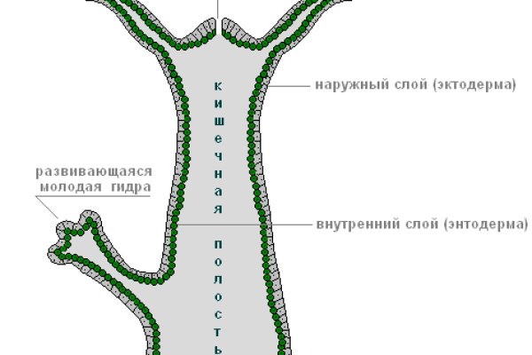 Кракен сайт ссылка тор браузере