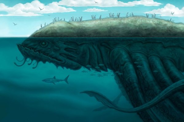 Kraken ltd